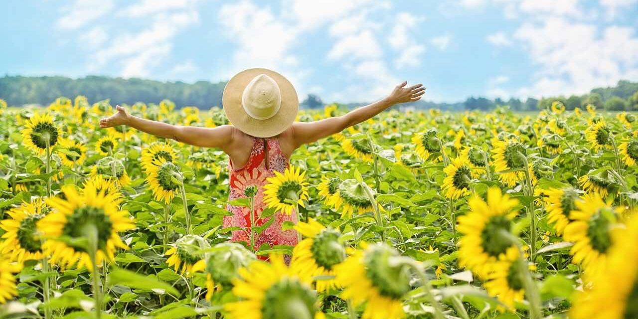 Ayurveda-ja-syksy-mielen-tasapaino