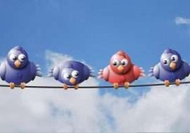 Erilaiset linnut langalla