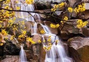 Kevät on ayurvedan puhdistusaikaa