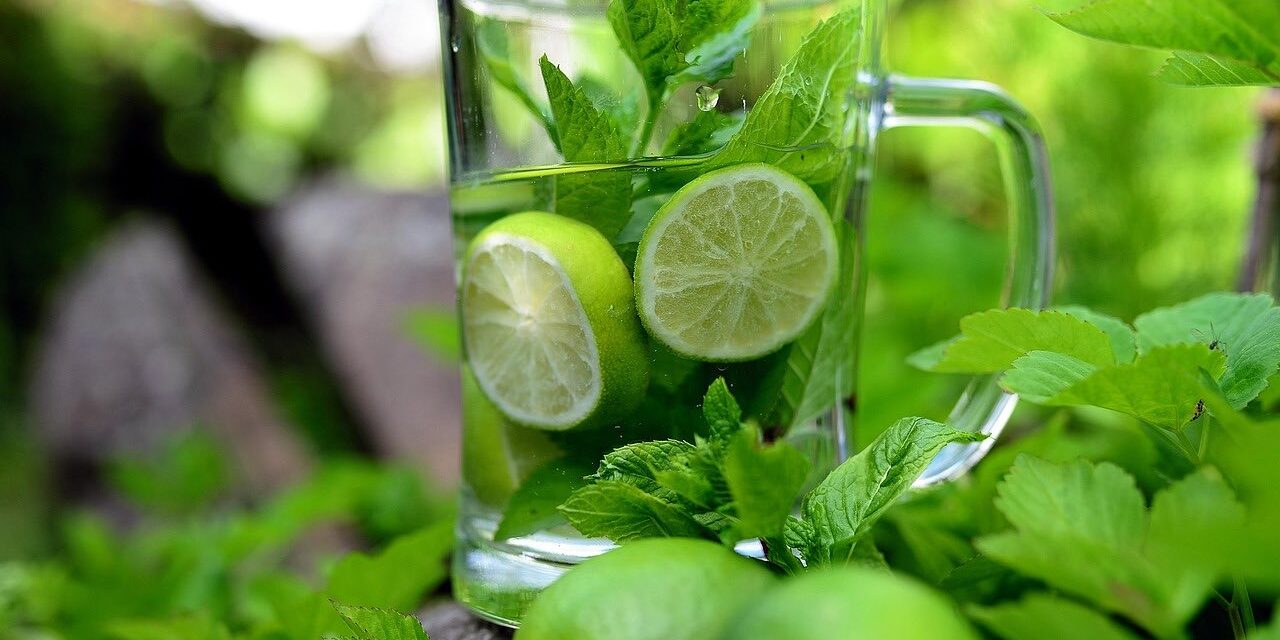 ayurvedinen kesäjuoma