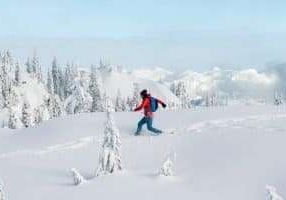 greg-rosenke-a3wSb77kuyU-unsplash (2)